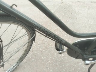 Bicicleta Holandesa Clásica Verde