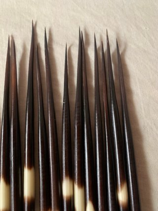 40 Púas de Puercoespín Artesania