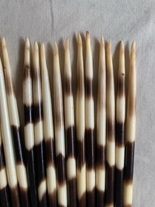 40 Púas de Puercoespín Artesania