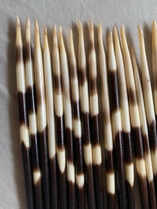 40 Púas de Puercoespín Artesania