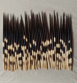 40 Púas de Puercoespín Artesania