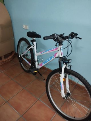 Bicicleta Neon MTB Niña