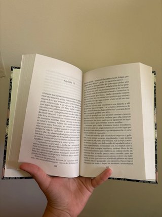 Libro Cumbres Borrascosas
