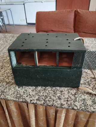 Cajón caza paloma torcaz