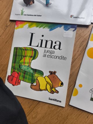 Lote 9 Cuentos Infantiles Santillana