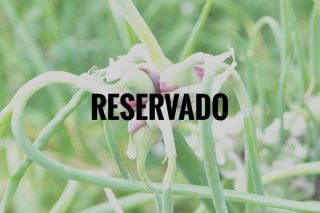 RESERVADO JAVIER