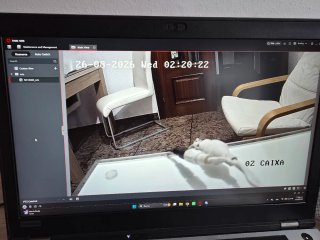 Cámara Hikvision HD Domo IR ip