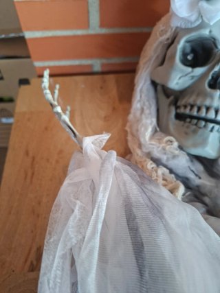 Novia Potasia Halloween