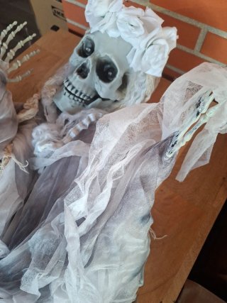 Novia Potasia Halloween