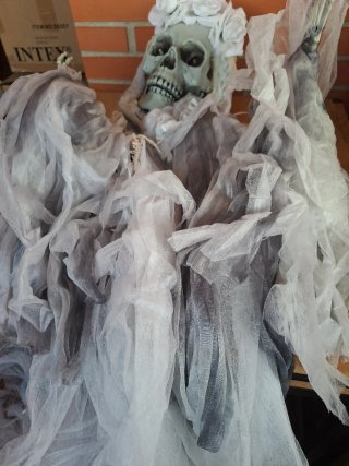 Novia Potasia Halloween