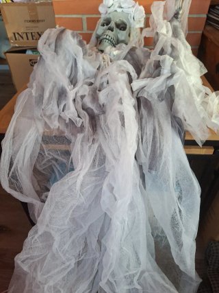 Novia Potasia Halloween