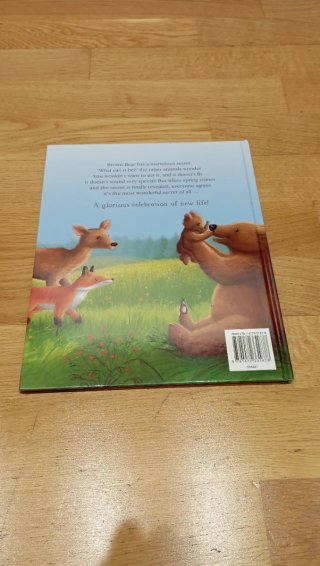 Libro infantil Brown Bear's Wonderful Secret