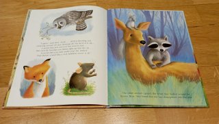 Libro infantil Brown Bear's Wonderful Secret