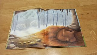 Libro infantil Brown Bear's Wonderful Secret