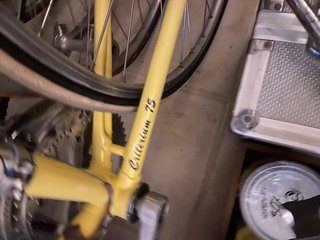 Bicicleta Zeus 2000