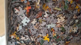Puzzle 1000 piezas Animales Divertidos