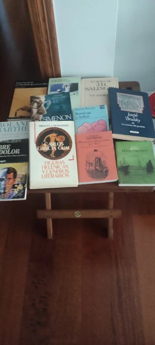 Lote libros biografías y memorias
