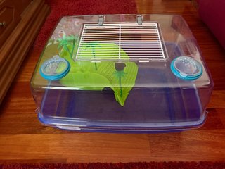 Terrario Tortugas Acuáticas Nuevo