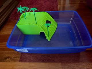 Terrario Tortugas Acuáticas Nuevo