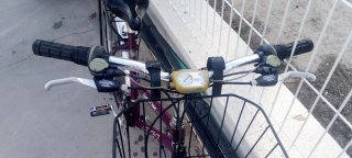 Bicicleta Urbana BH Trekking Miami Morada