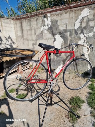 Bicicletta Torpado da Corsa Rossa