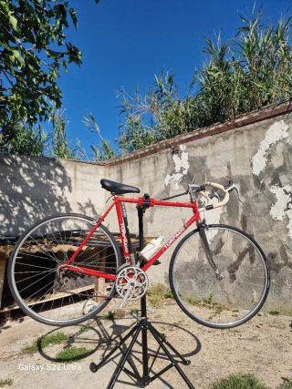 Bicicletta Torpado da Corsa Rossa