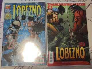 lobezno enemigo del estado/agente de shield grapas