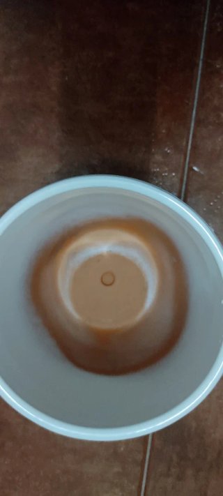 2 Macetas  blancas