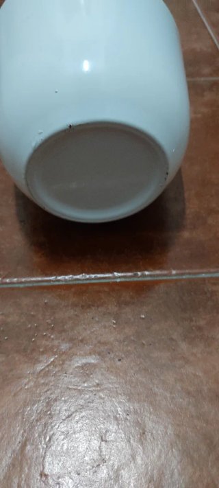 2 Macetas  blancas