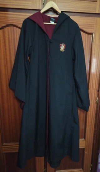 Capa Harry Potter Gryffindor Universal Studios