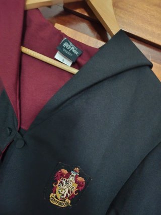 Capa Harry Potter Gryffindor Universal Studios