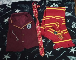 Capa Harry Potter Gryffindor Universal Studios