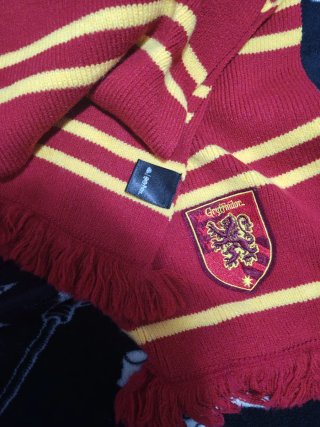 Capa Harry Potter Gryffindor Universal Studios