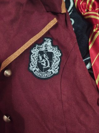 Capa Harry Potter Gryffindor Universal Studios