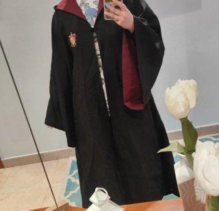 Capa Harry Potter Gryffindor Universal Studios