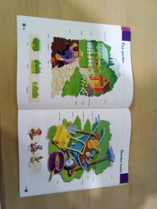RICHMOND PICTURE DICTIONARY (INGLES-ESPAÑOL)