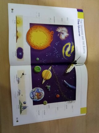 RICHMOND PICTURE DICTIONARY (INGLES-ESPAÑOL)