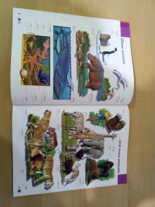 RICHMOND PICTURE DICTIONARY (INGLES-ESPAÑOL)