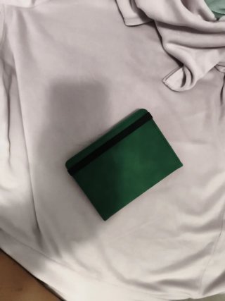 Funda Pasaporte Charm Eternity Verde