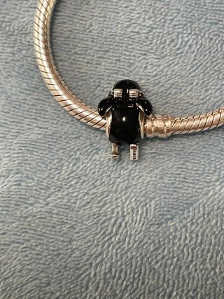Charm Pingüino Esquiador