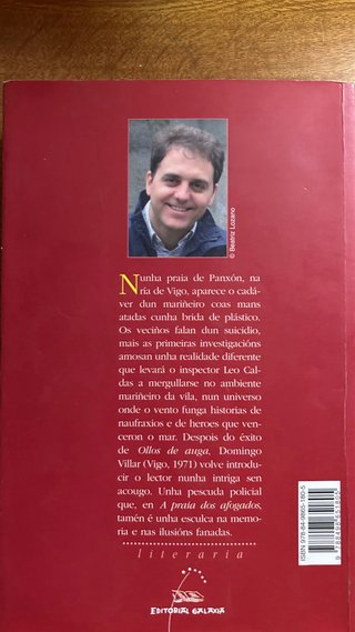 A Praia dos Afogados - Domingo Villar