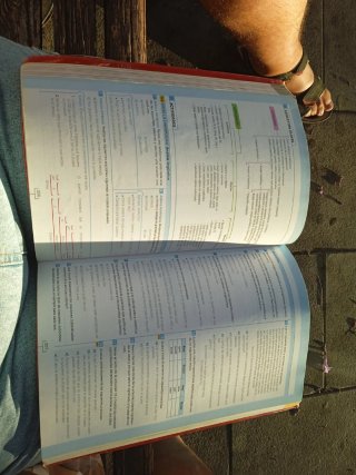 Lengua castellana y literatura 1, Bachillerato