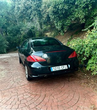Peugeot 307 2004