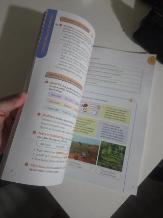 LENGUA CASTELLANA SERIE ACENTOS 6 PRIMARIA CONS...