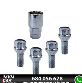 Set 4 tornillos antirrobo