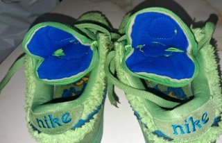 Nike Dunk Pelliccia 37.5 Grn/Blu