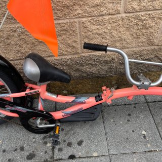 Bicicleta Tandem Rosa con Bandera