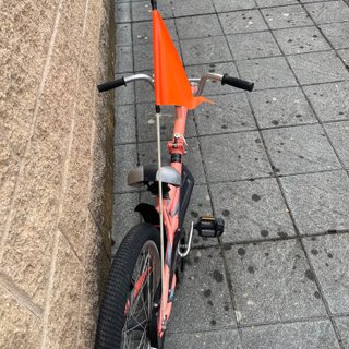 Bicicleta Tandem Rosa con Bandera