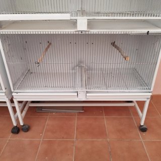 Jaulas para pájaros blancas con nido