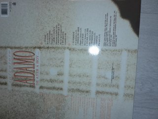 LOTE  2 VINILOS ADAMO
